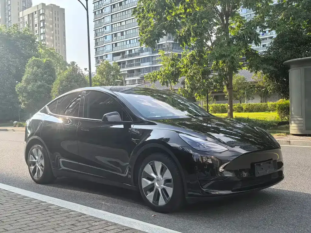 Tesla Model Y — фото 10