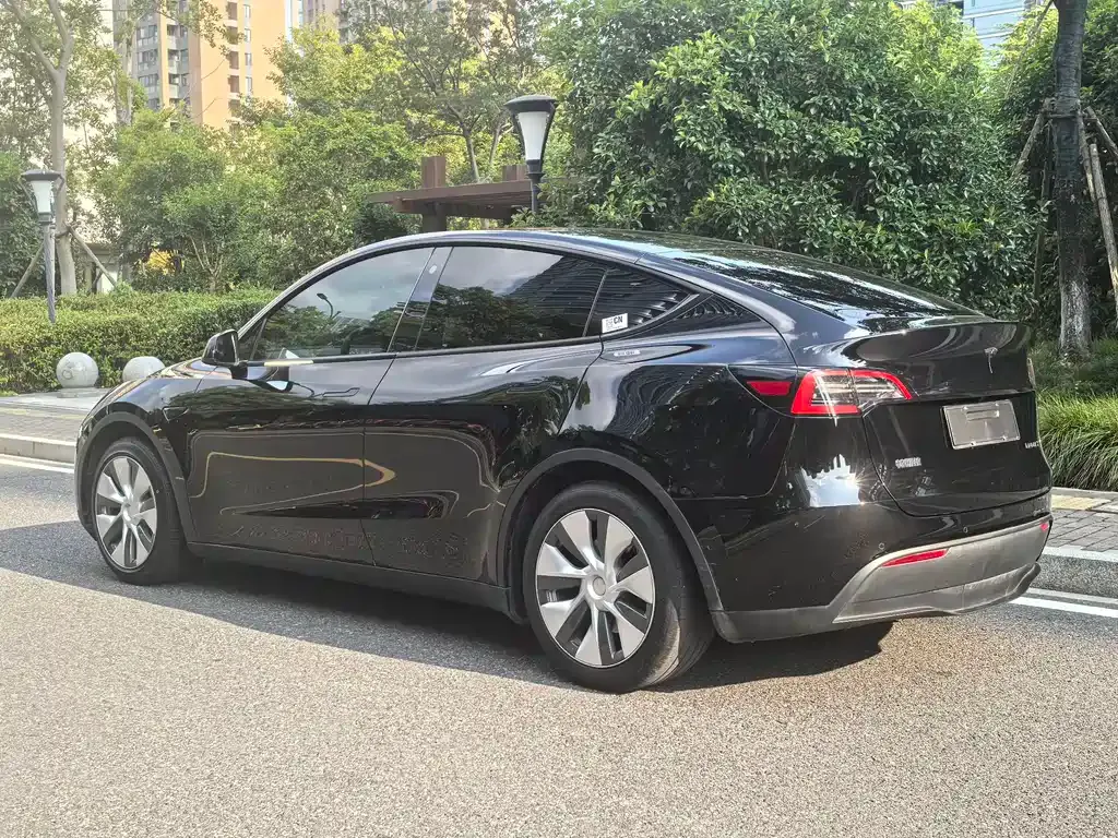 Tesla Model Y — фото 8