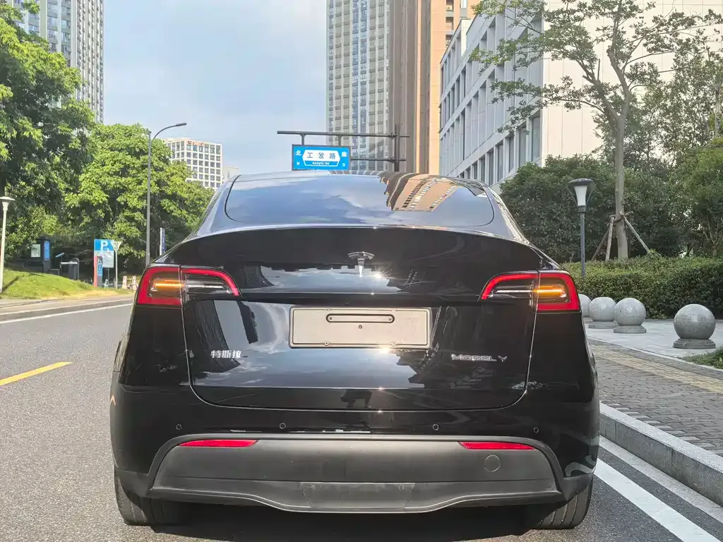 Tesla Model Y — фото 6