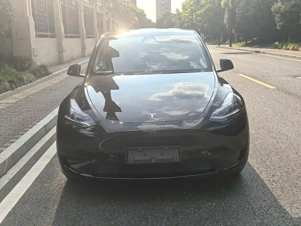 Tesla Model Y — фото 3
