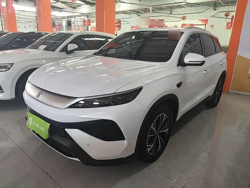 BYD Pro New Energy — фото 1