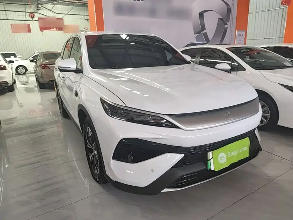 BYD Pro New Energy — фото 8
