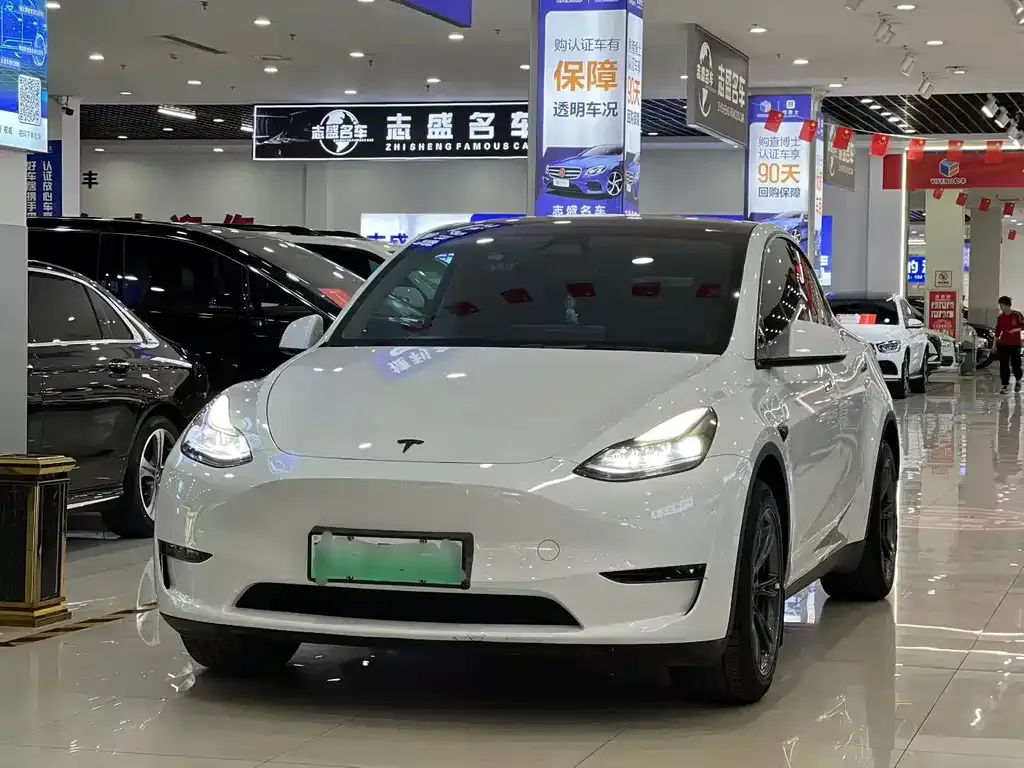 Tesla Model Y — фото 1