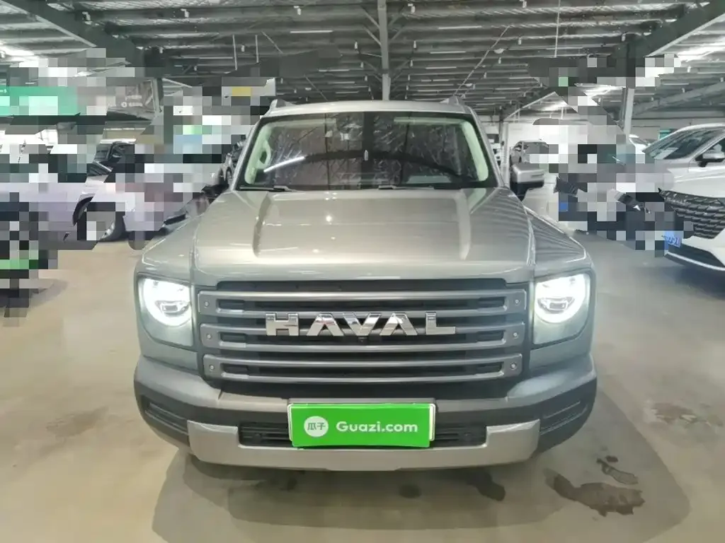 Haval Menglong New Energy — фото 10