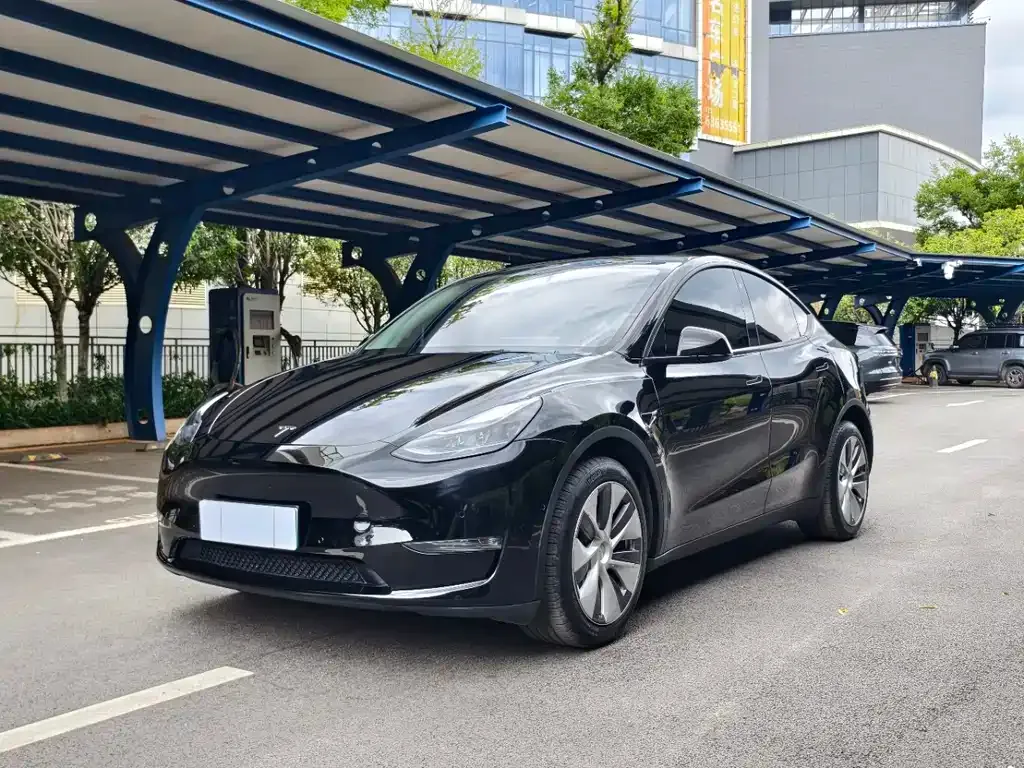 Tesla Model Y — фото 1