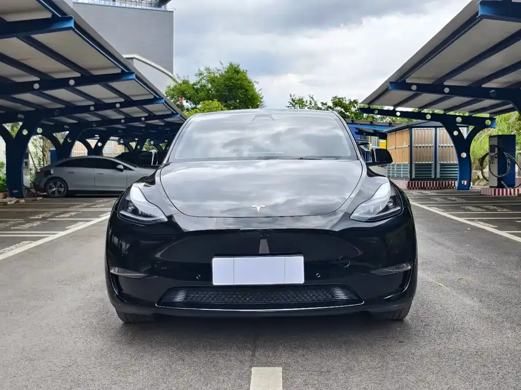 Tesla Model Y — фото 5