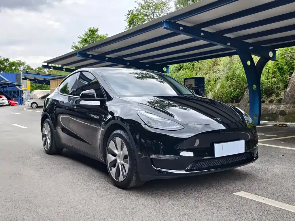 Tesla Model Y — фото 10