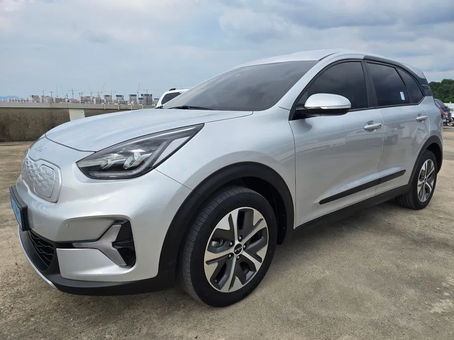 Kia Niro El Earth 1