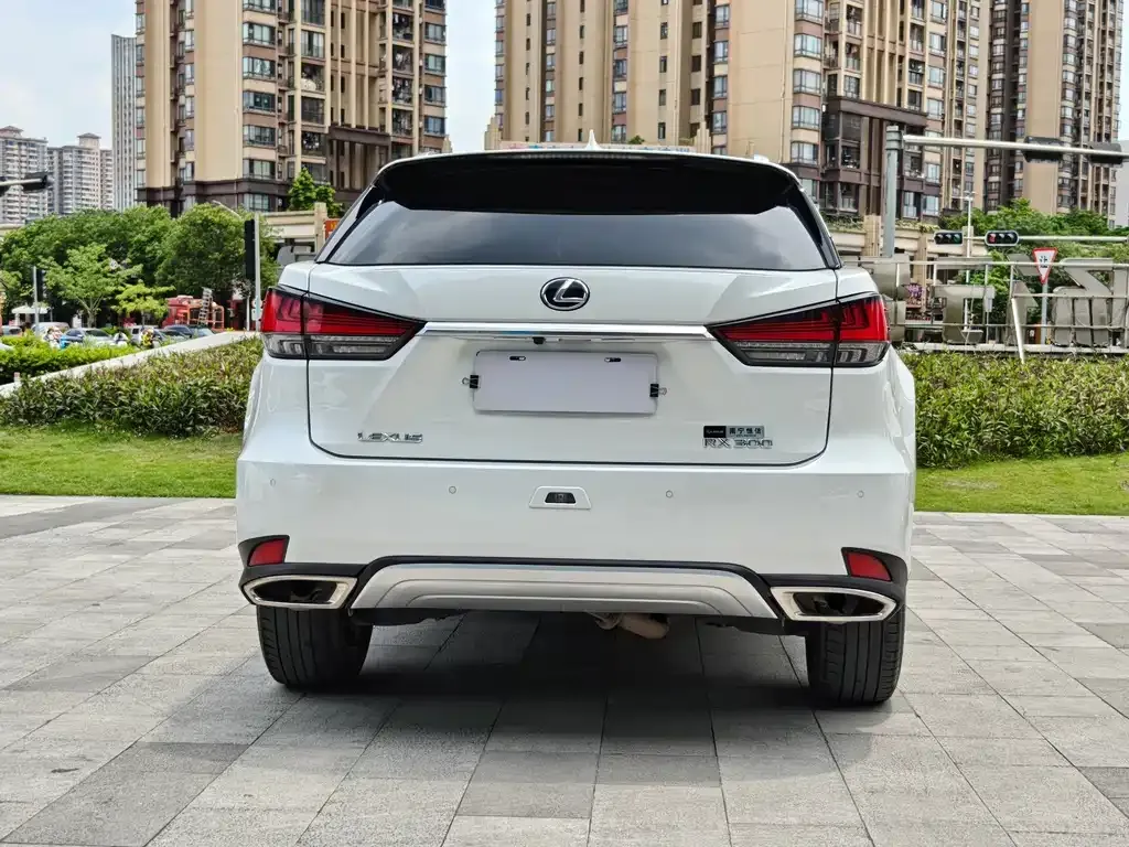 Lexus RX — фото 9