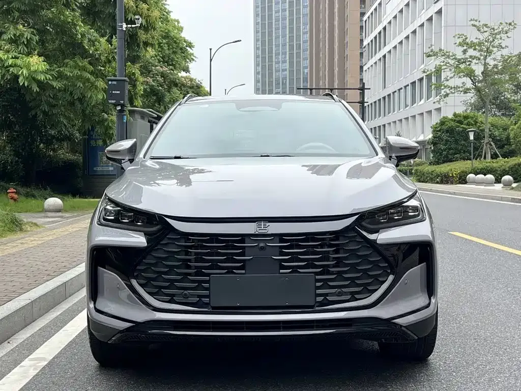 BYD Tang New Energy — фото 2