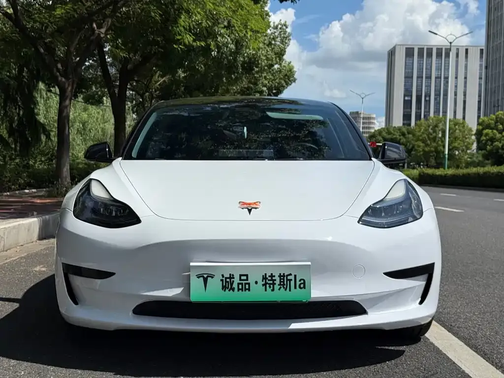 Tesla Model 3 — фото 2