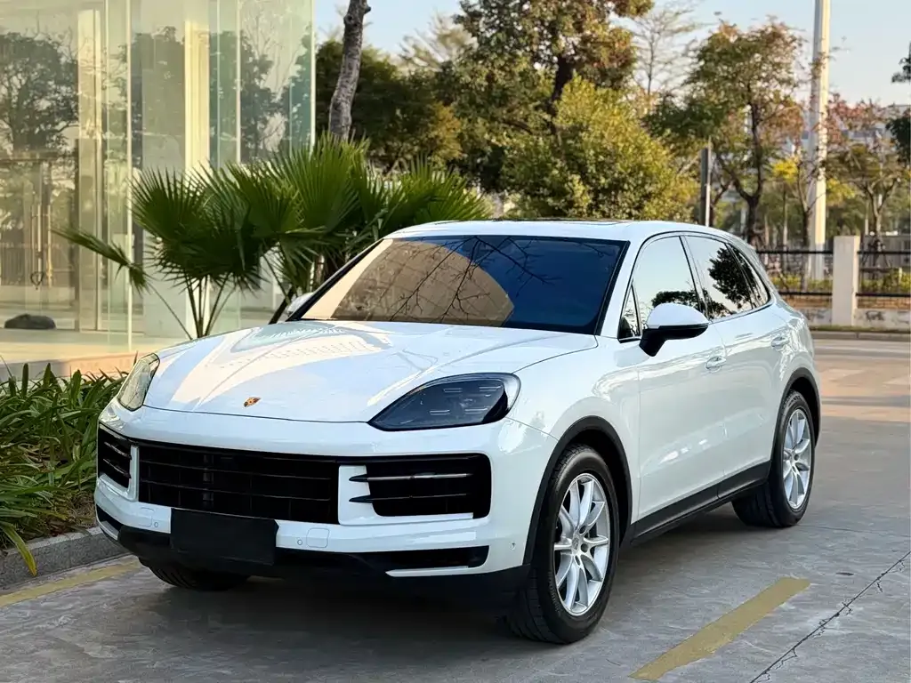 Porsche Cayenne — фото 1