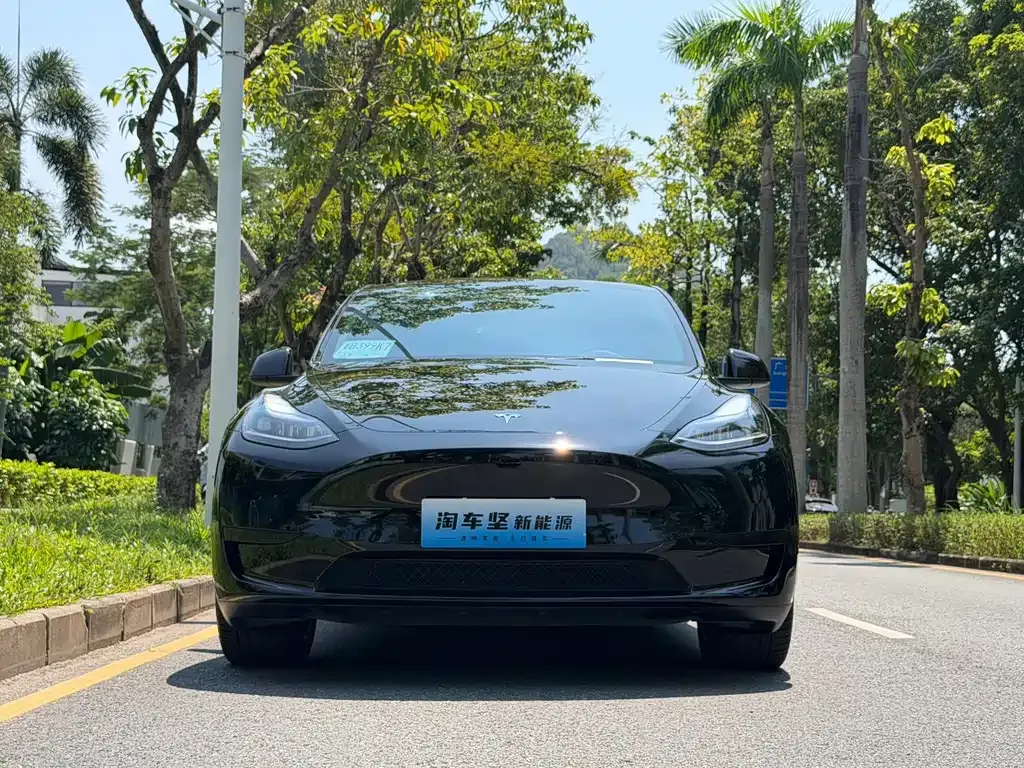 Tesla Model Y — фото 6