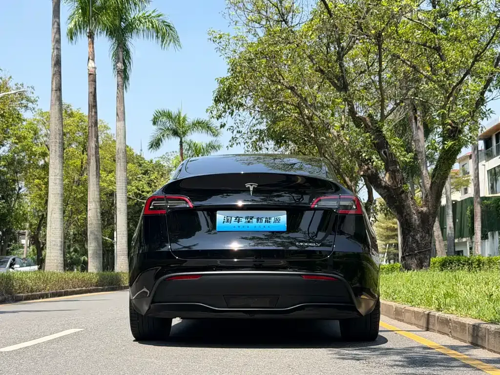 Tesla Model Y — фото 5