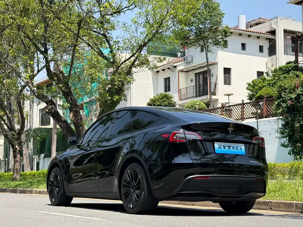 Tesla Model Y — фото 8