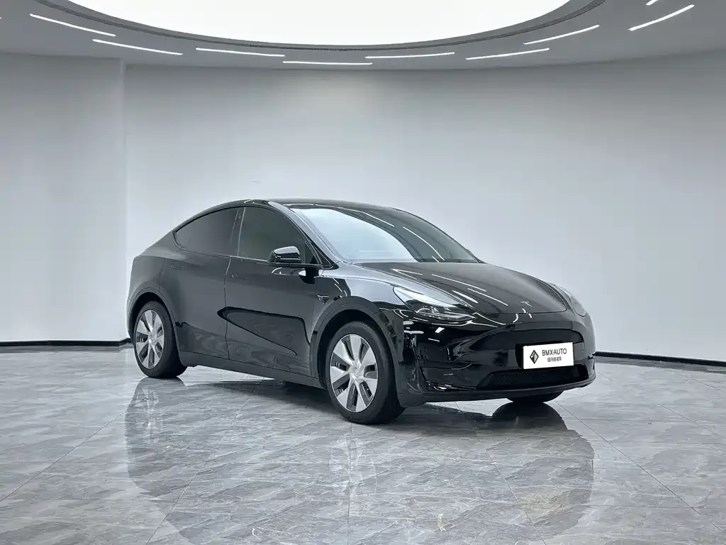 Tesla Model Y — фото 5