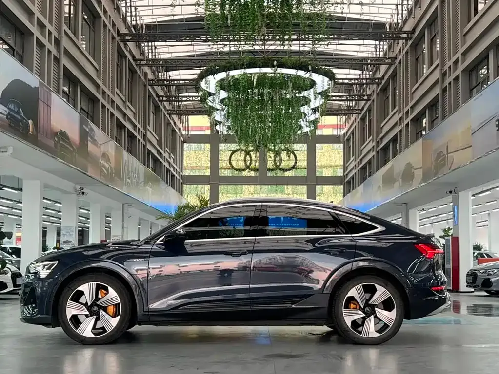 Audi e-tron (Import) — фото 9