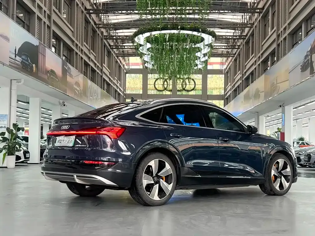 Audi e-tron (Import) — фото 10