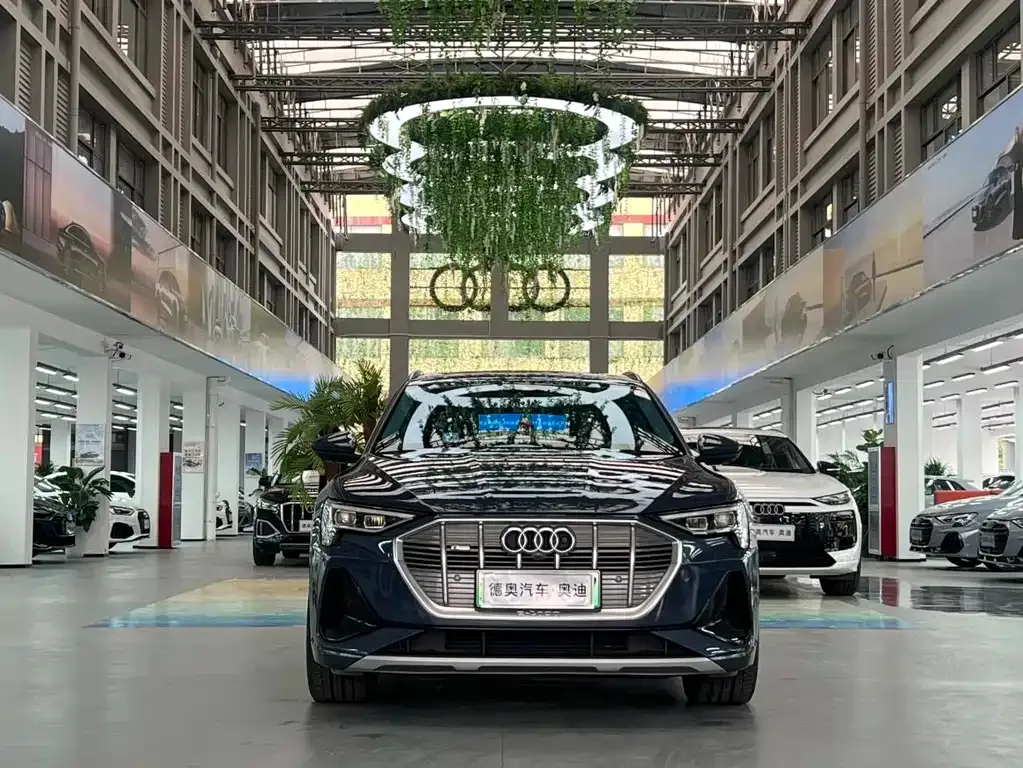 Audi e-tron (Import) — фото 5