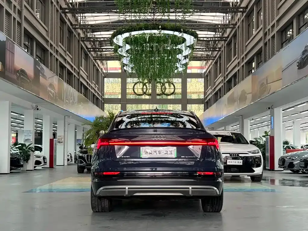 Audi e-tron (Import) — фото 4