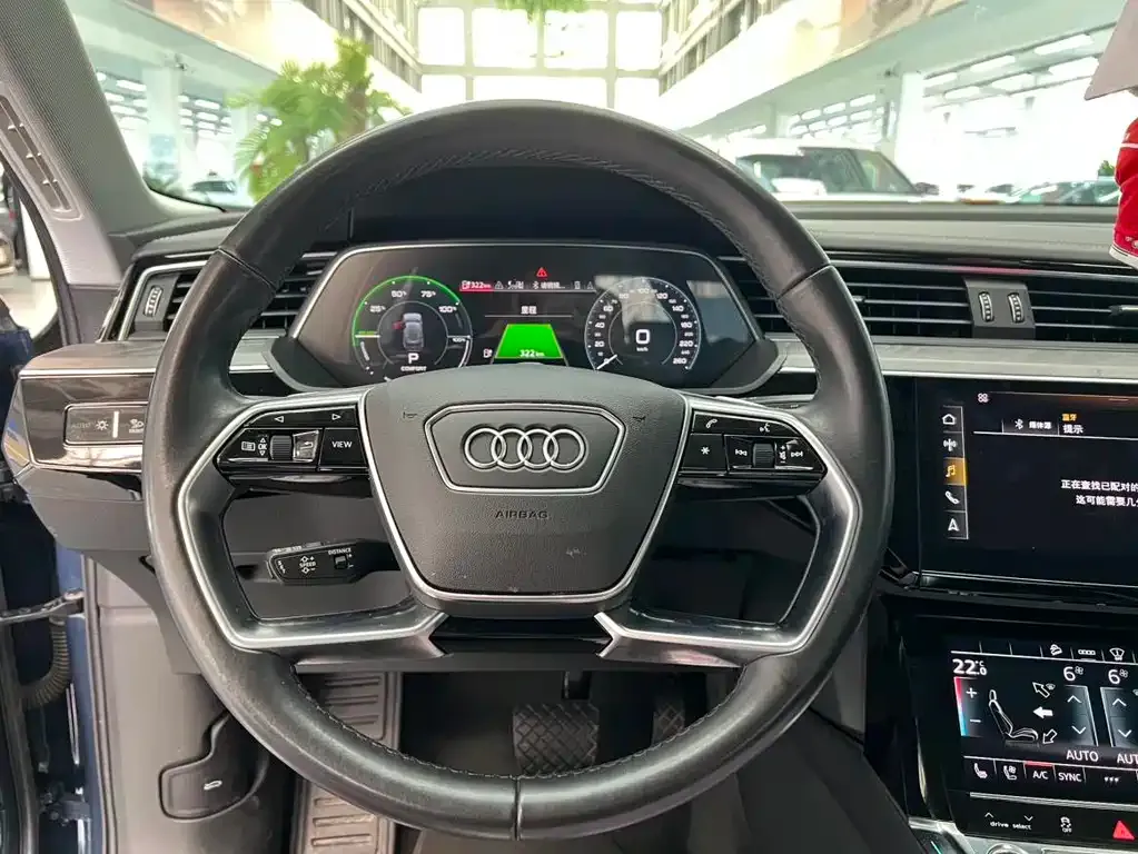Audi e-tron (Import) — фото 8