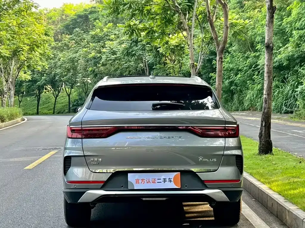 BYD PLUS New Energy — фото 9