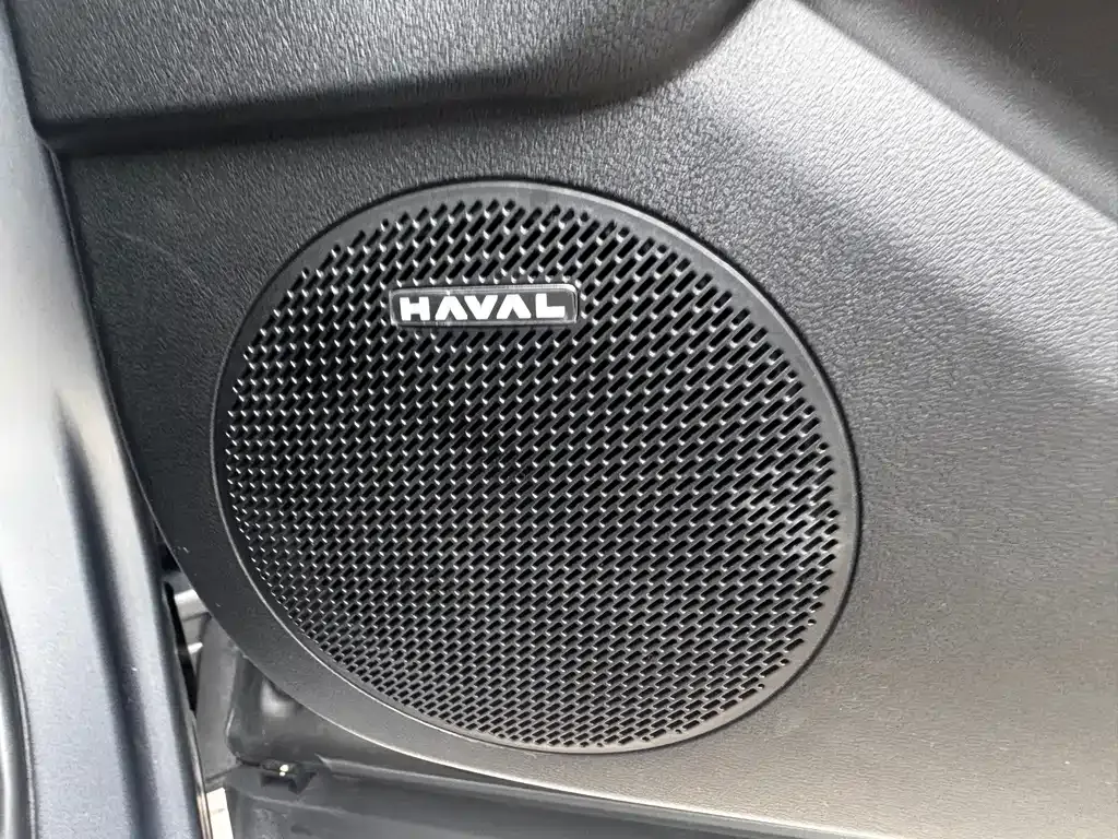Haval Raptor — фото 10