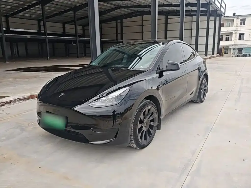 Tesla Model Y — фото 2