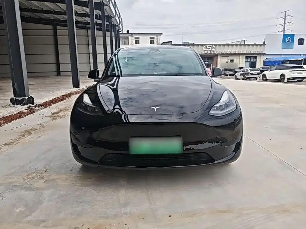 Tesla Model Y — фото 8
