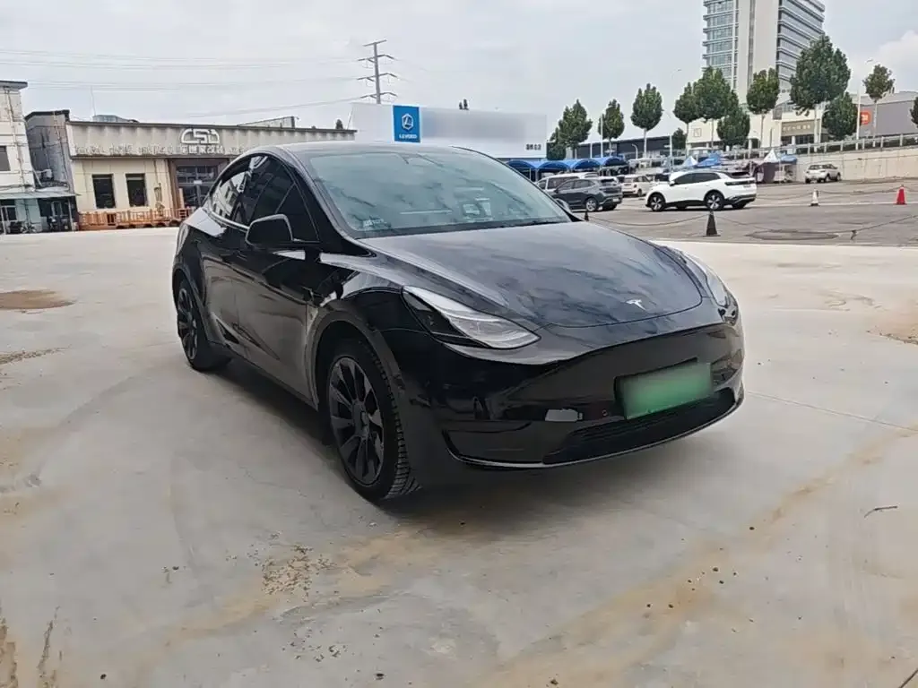 Tesla Model Y — фото 3