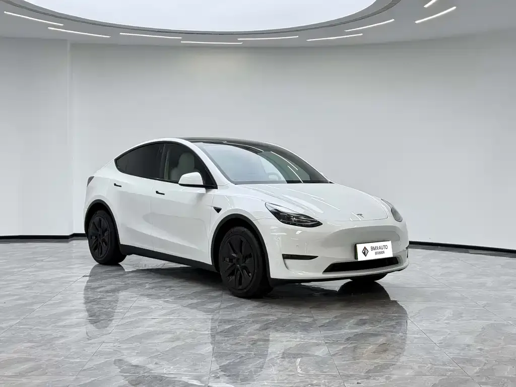 Tesla Model Y — фото 8