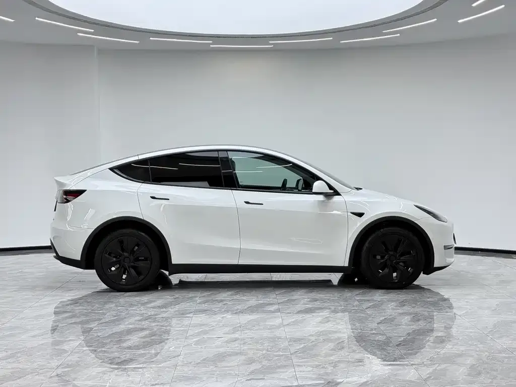 Tesla Model Y — фото 5