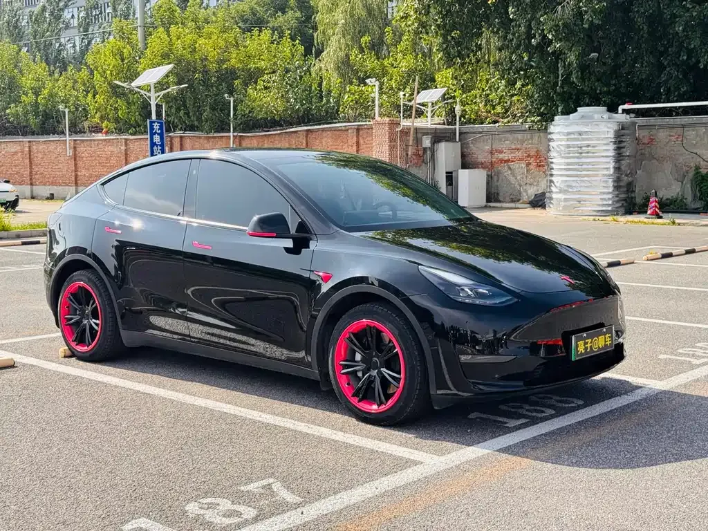 Tesla Model Y — фото 3