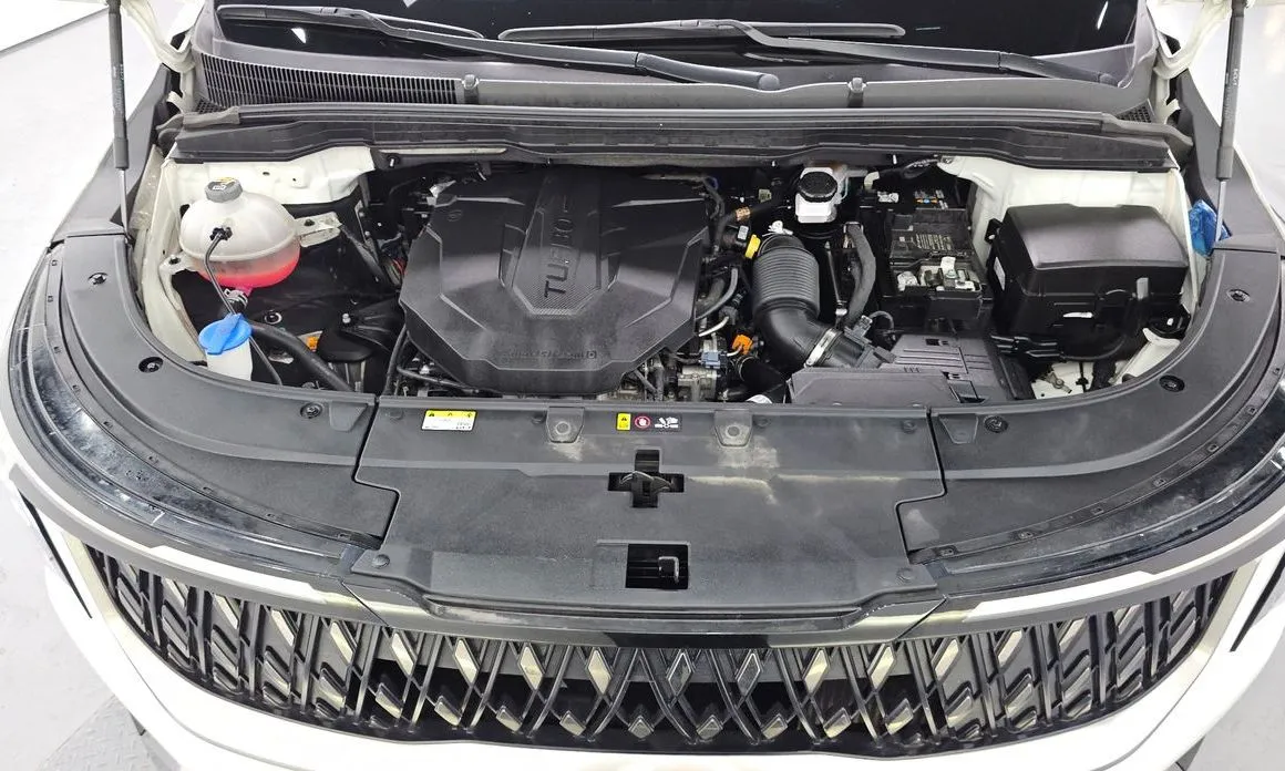 Kia Carnival — фото 10