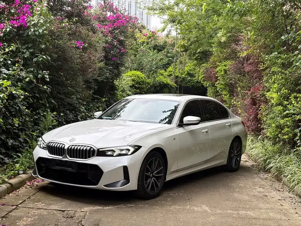 BMW 3 Series — фото 1
