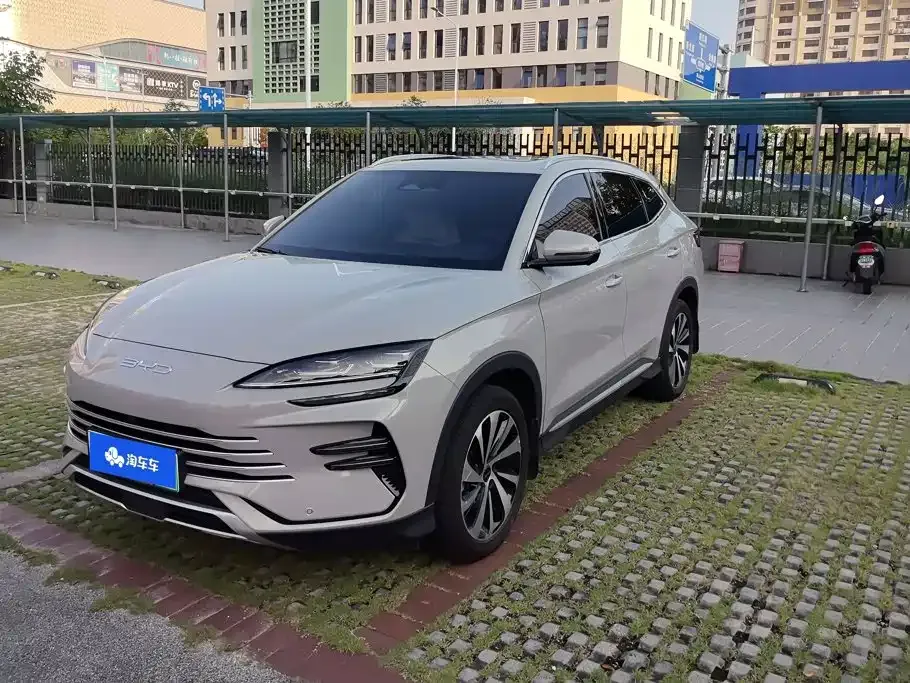 BYD PLUS New Energy — фото 1