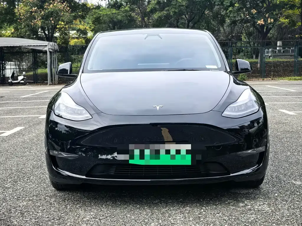 Tesla Model Y — фото 10