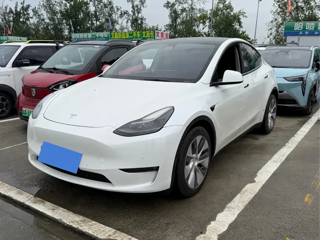 Tesla Model Y — фото 1