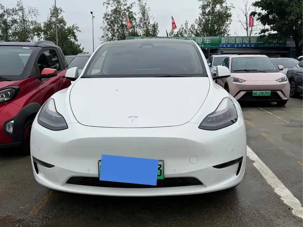 Tesla Model Y — фото 6