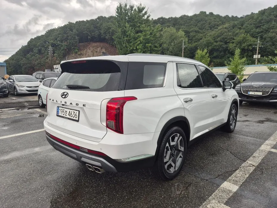 Hyundai Palisade — фото 10