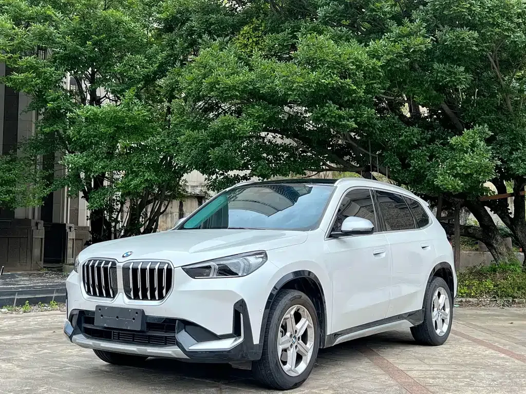 BMW X1 — фото 1
