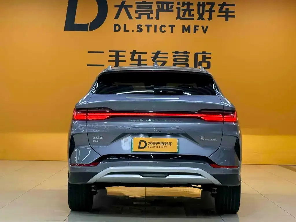 BYD PLUS New Energy — фото 10