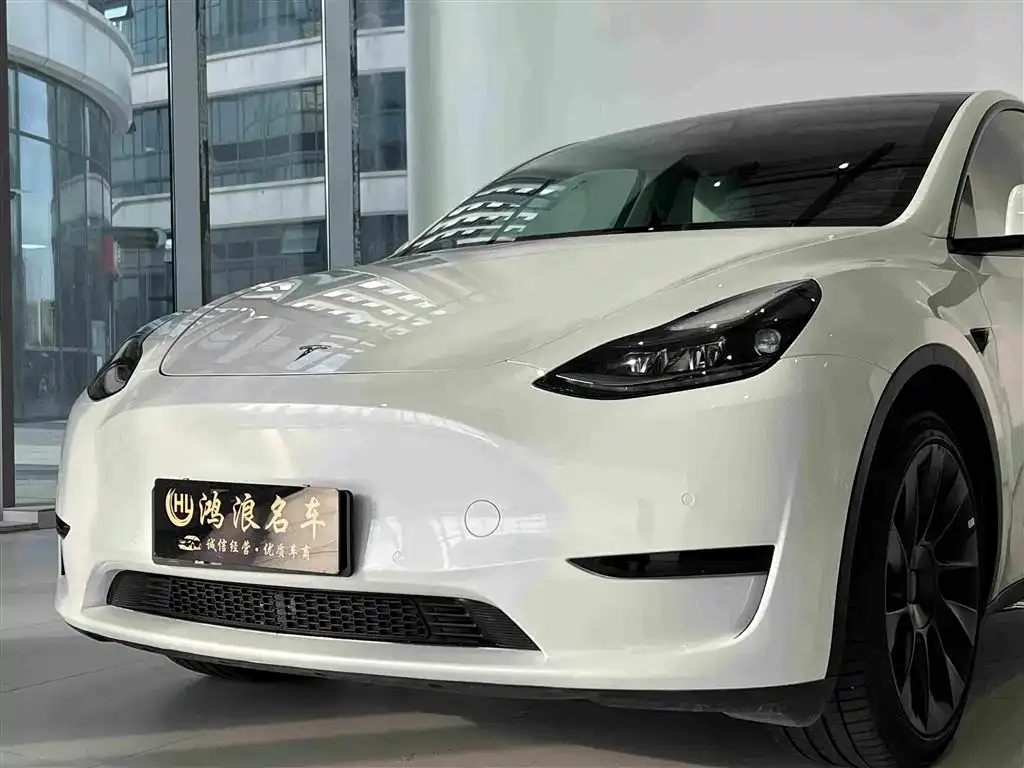 Tesla Model Y — фото 10