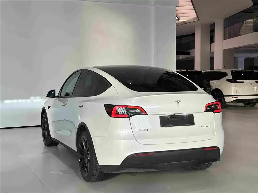 Tesla Model Y — фото 9