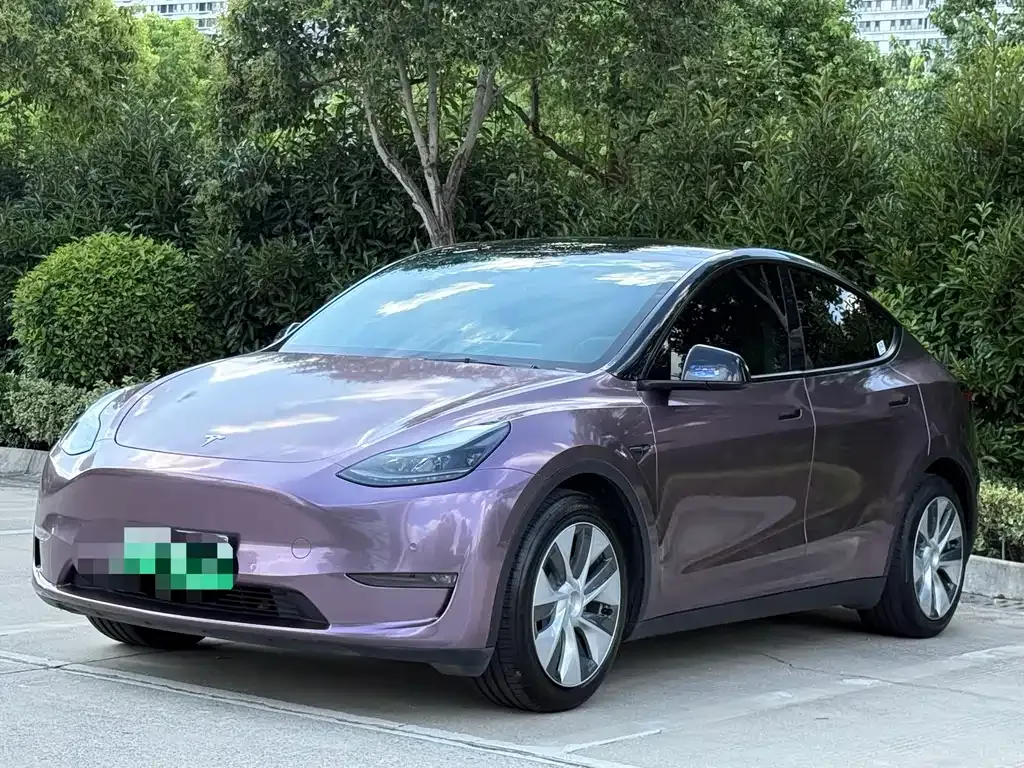 Tesla Model Y — фото 1