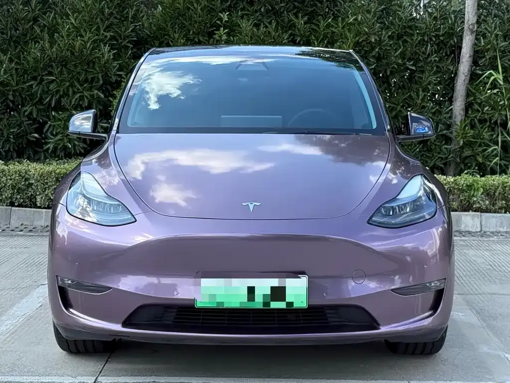 Tesla Model Y — фото 2