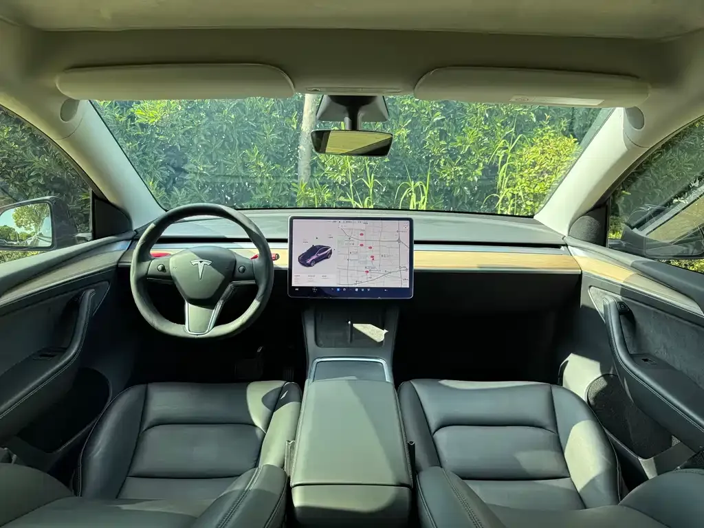 Tesla Model Y — фото 8