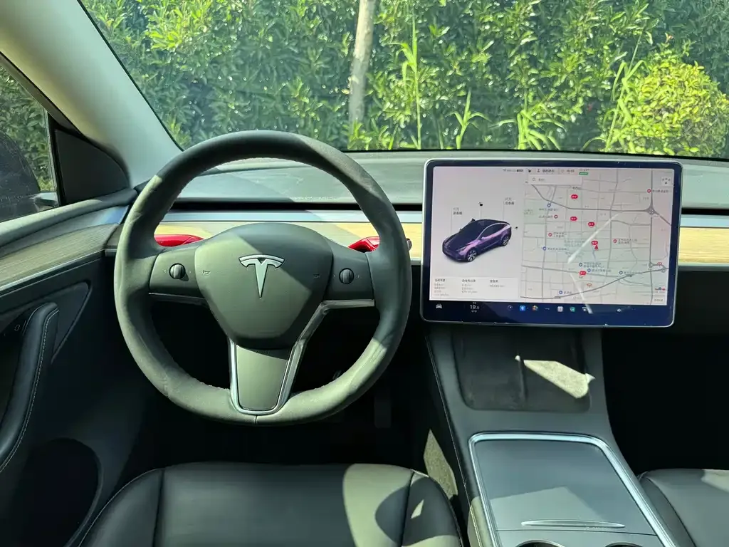 Tesla Model Y — фото 9