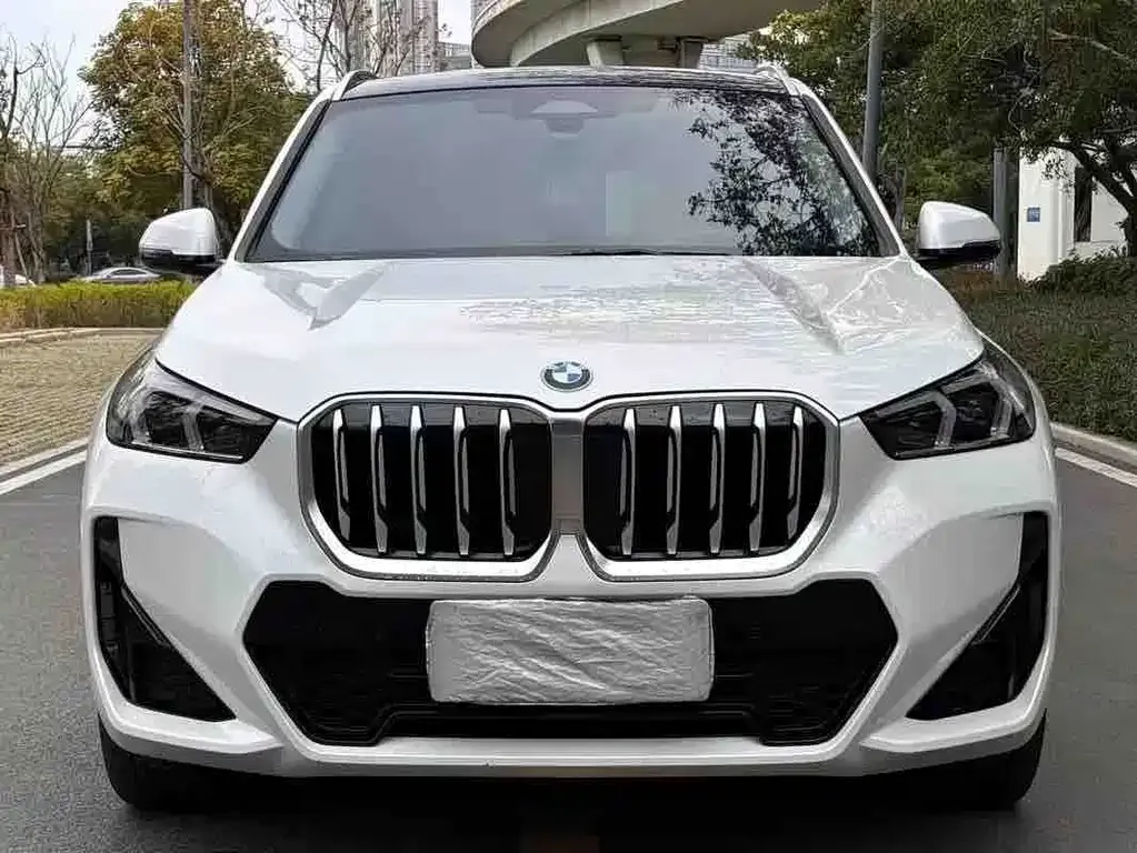 BMW X1 — фото 1
