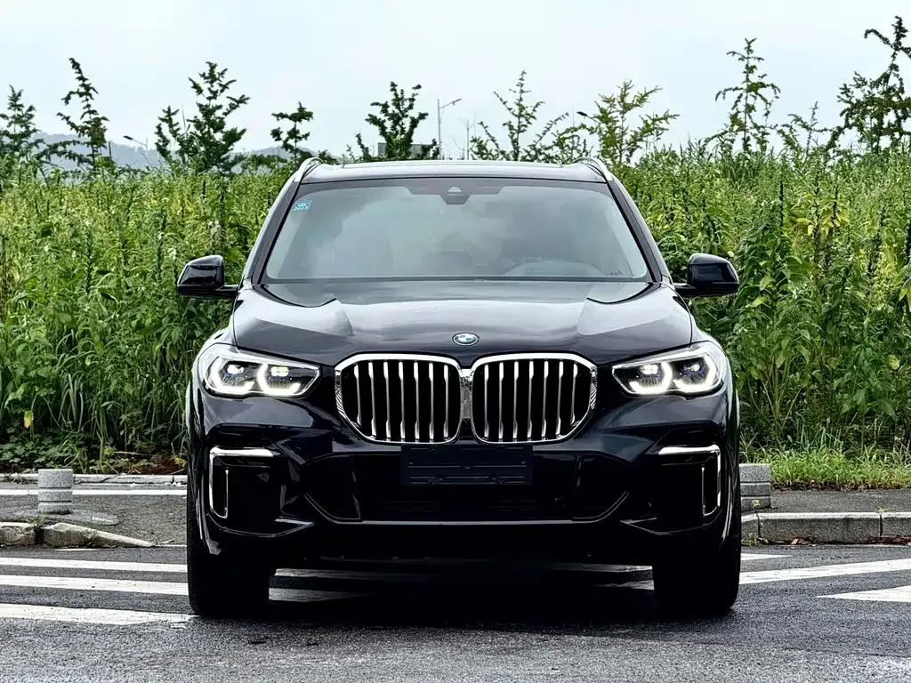 BMW X5 — фото 1